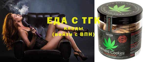 дмт Ельня