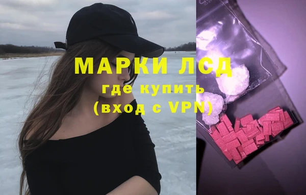 сатива Елизово