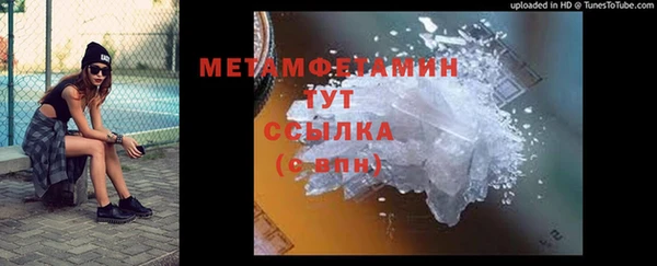 дмт Ельня
