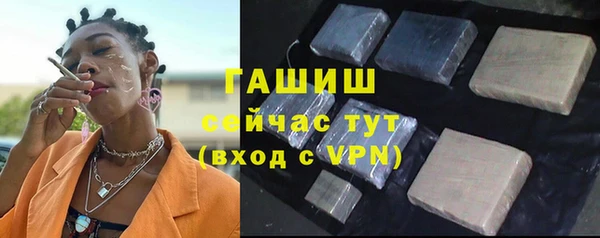 сатива Елизово