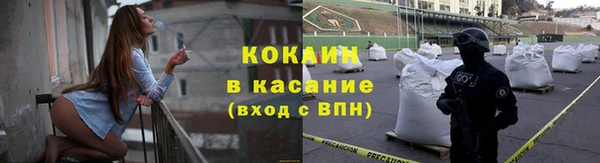 дмт Ельня