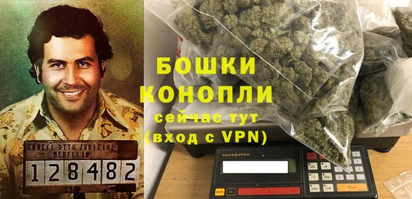 сатива Елизово