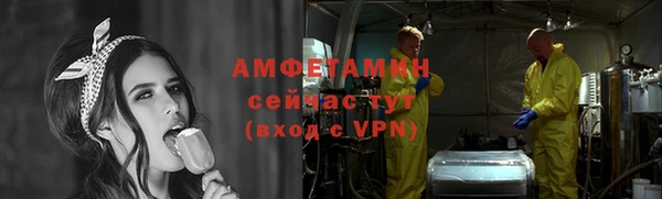 дмт Ельня