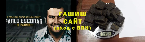 дмт Ельня