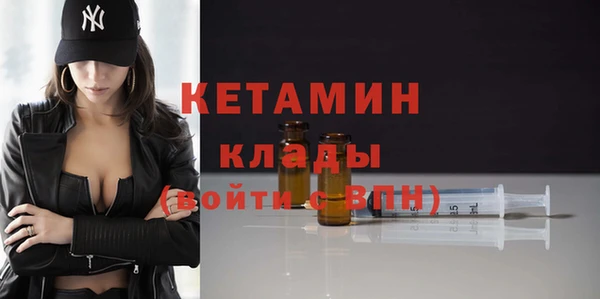 дмт Ельня