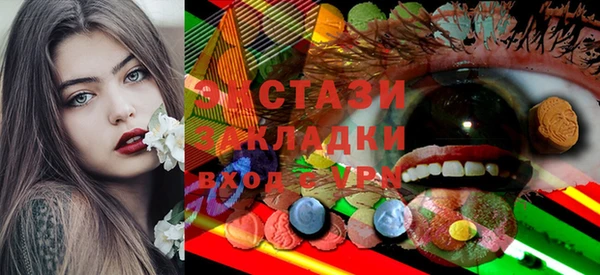 дмт Ельня