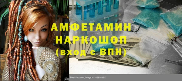 дмт Ельня