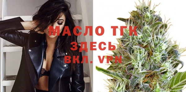 дмт Ельня