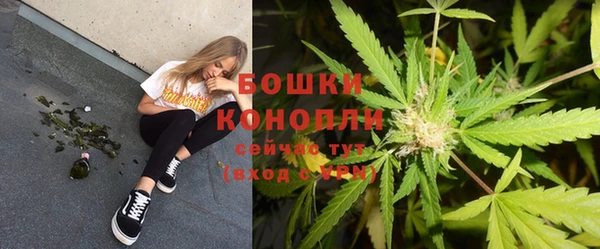дмт Ельня
