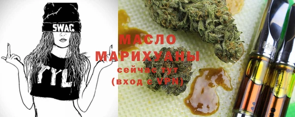 дмт Ельня