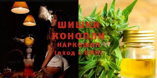 сатива Елизово