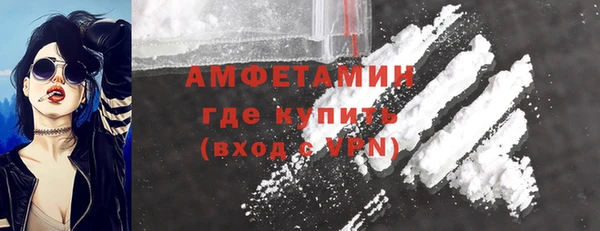 дмт Ельня