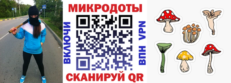 Псилоцибиновые грибы мухоморы Касли